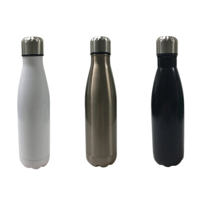 Stainless Steel Bottle