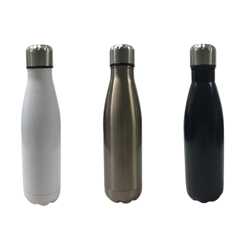 Stainless Steel Bottle