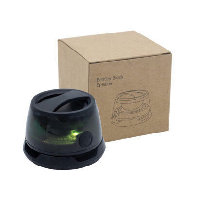 Arcus Mini Speaker