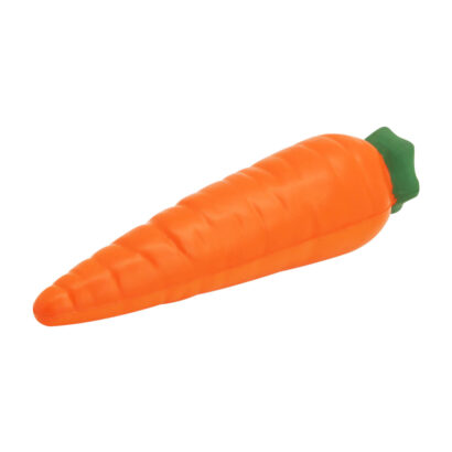 Vibrant Harvest Carrots