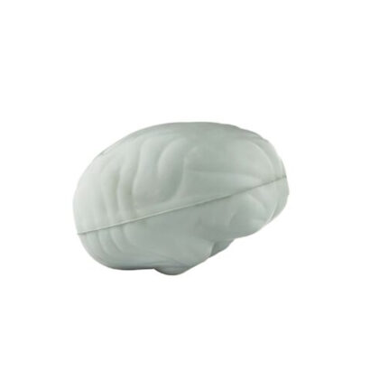 Neuro PU Brain Model Stess Toy