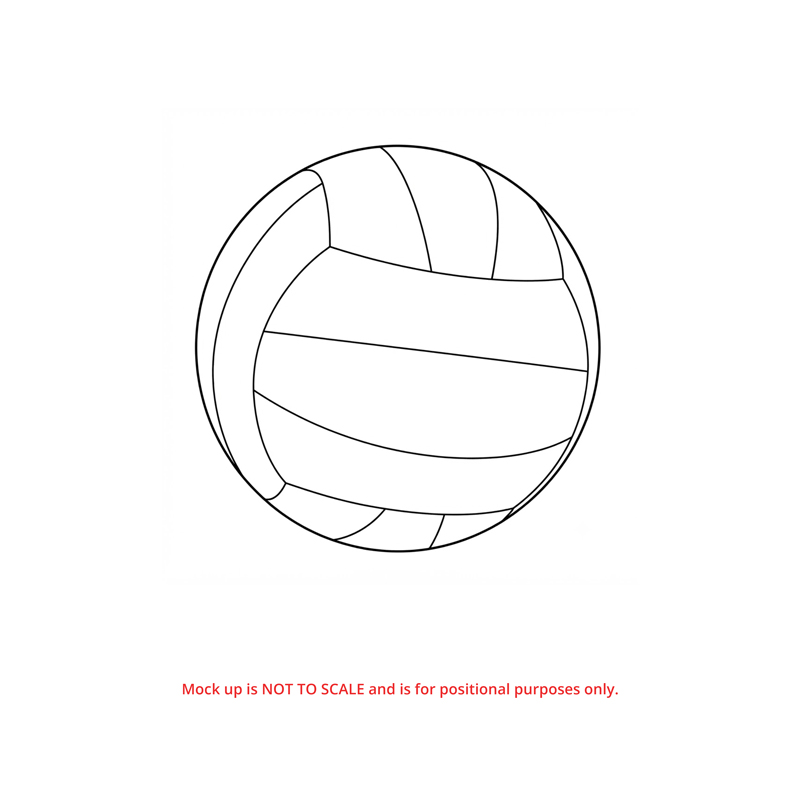Professional Leather Volleyball - Image 2